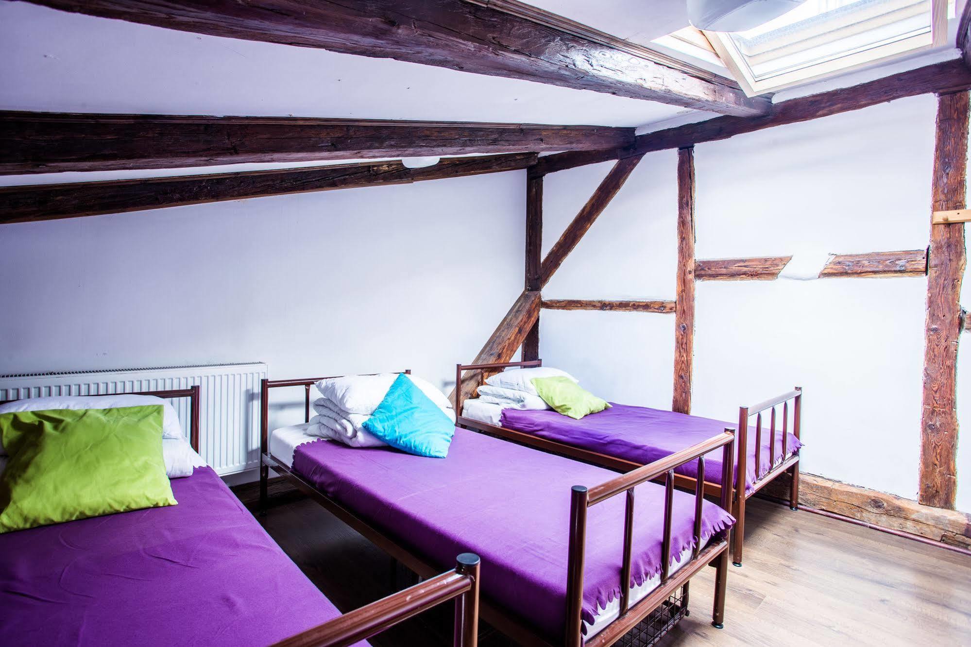 Pink Panther'S Hostel Krasków Εξωτερικό φωτογραφία